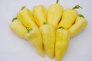 Hóvihar F1 paprika