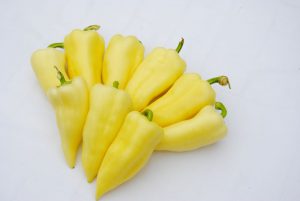 Hóvihar F1 paprika