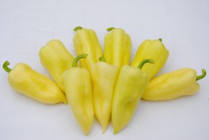 Jumbo Stuff F1 paprika