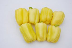Sárga Madár F1 paprika