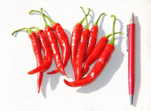 Tüzes Piros paprika