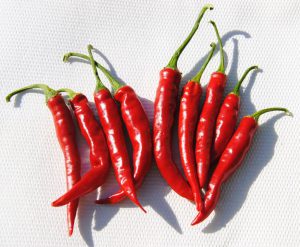 Tüzes Piros paprika