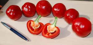 Óriás Cseresznye paprika