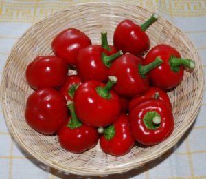 Óriás Cseresznye paprika