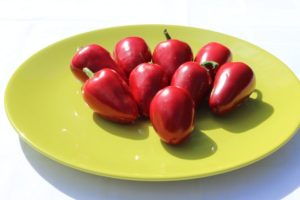 Csípős cseresznye hibrid paprika