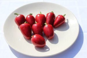Csípős cseresznye hibrid paprika