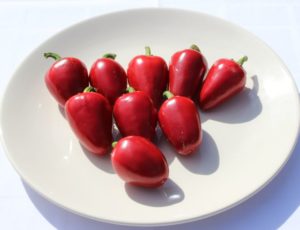 Csípős cseresznye hibrid paprika