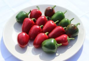 Csípős cseresznye hibrid paprika