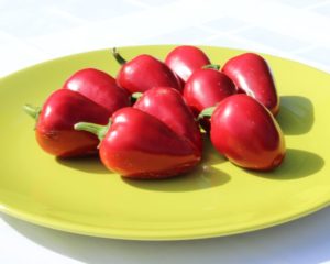Csípős cseresznye hibrid paprika