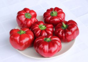 Super Greygo F1 paprika