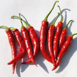 Tüzes Piros paprika