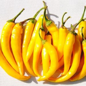 Tüzes Sárga paprika