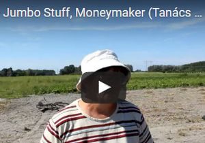 Videó - Tanács Szilveszterné paprikatermelő